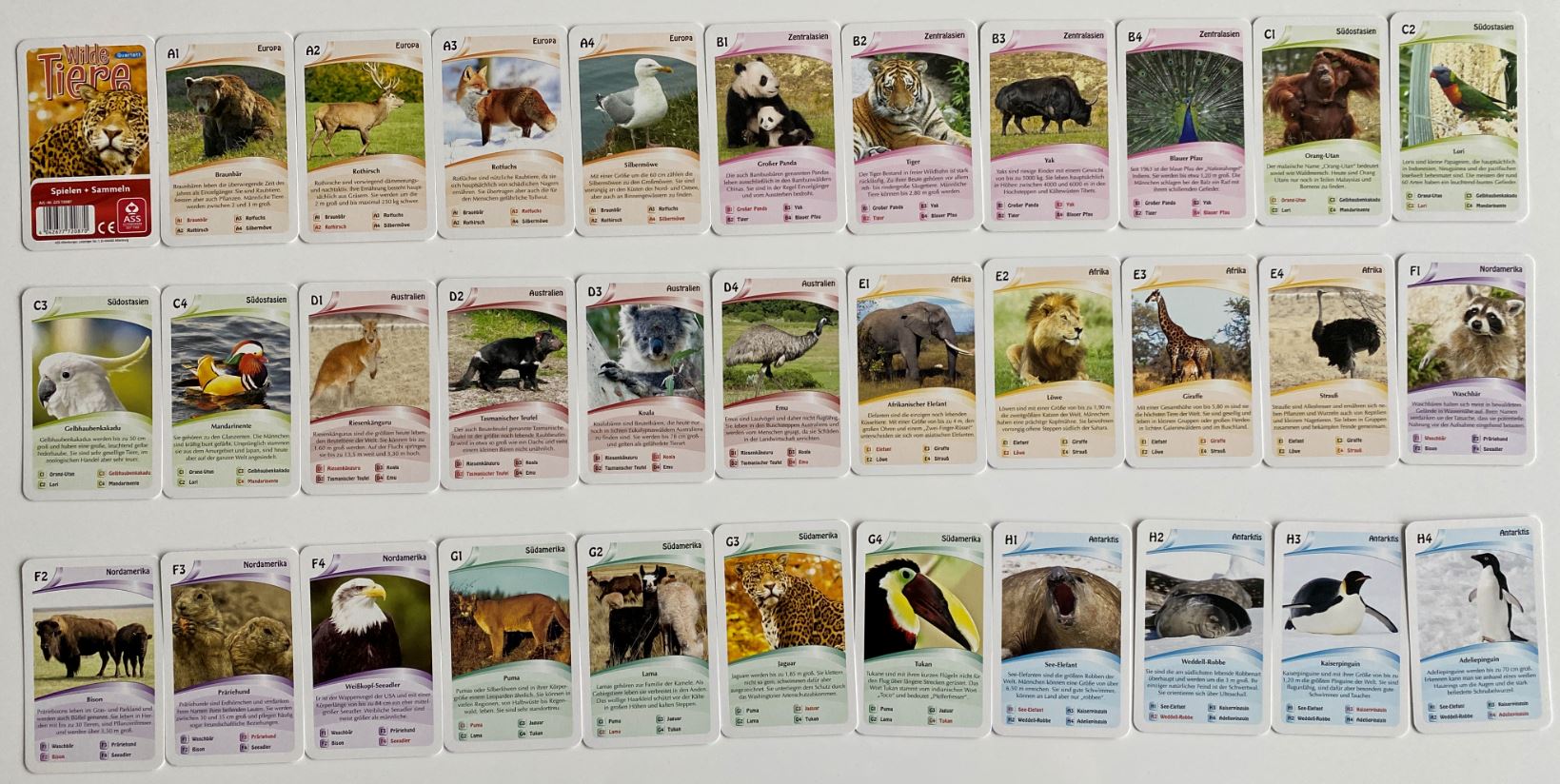 Alle Karten - Wilde Tiere